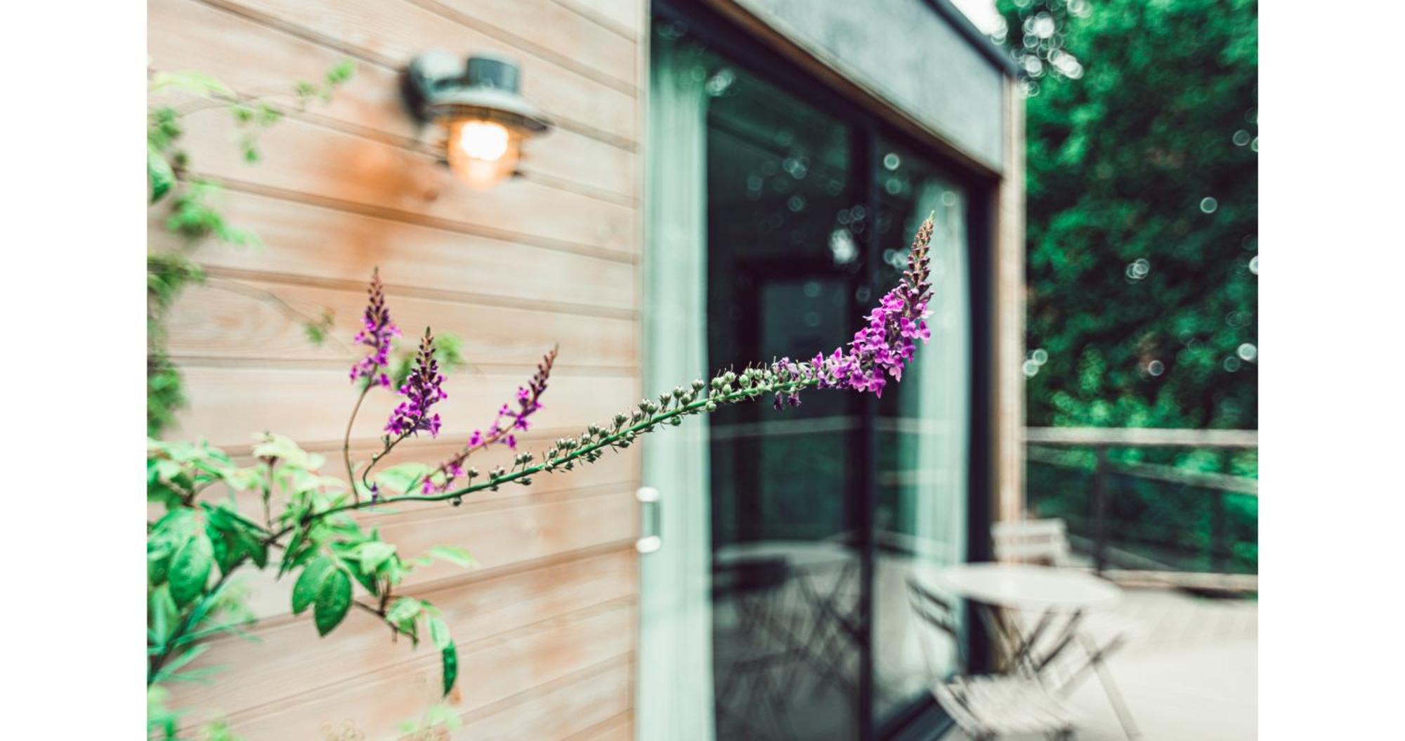 Clophill Eco Lodges Extérieur photo